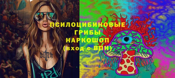 ГАЛЛЮЦИНОГЕННЫЕ ГРИБЫ Богородск