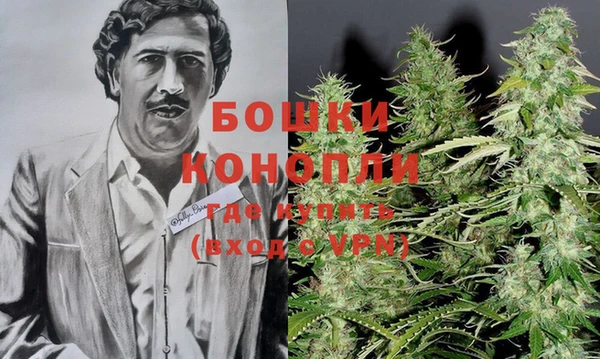 ГАЛЛЮЦИНОГЕННЫЕ ГРИБЫ Богородск