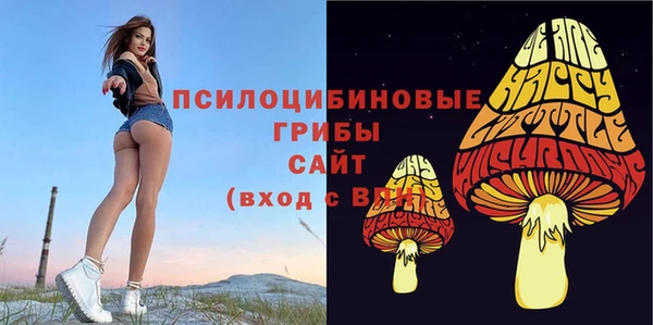 таблы Белокуриха